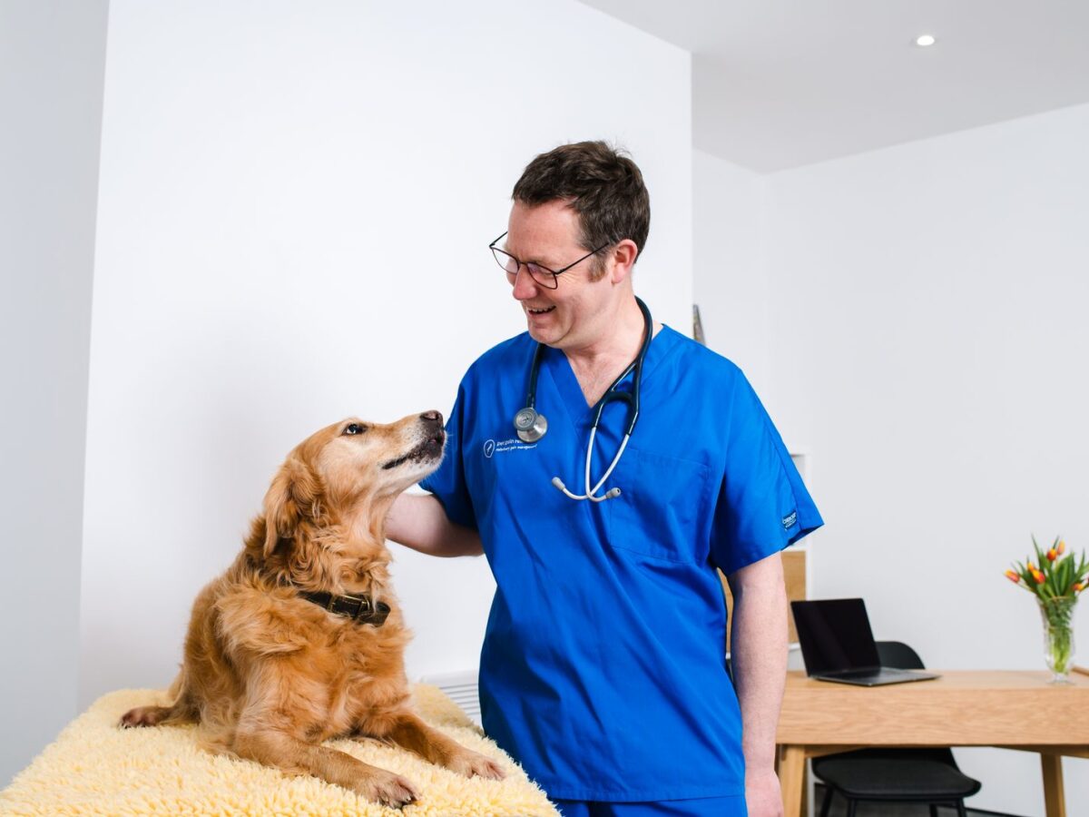 Dr James Hunt with a golden retriever in the consulting room